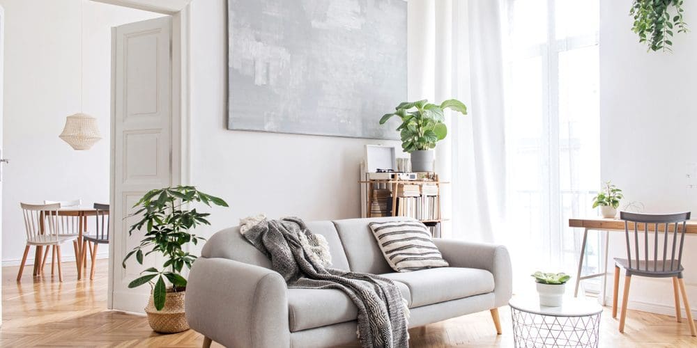 Picture of How to Design an Apartment to Optimize Your Natural Light - CLV Group